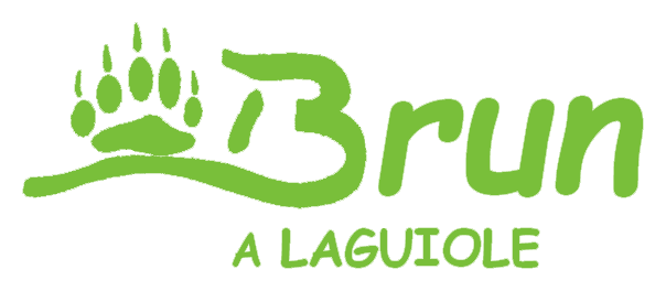 Logo de la coutellerie Brun à Laguiole